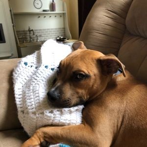 Meet your Posher, Tabitha